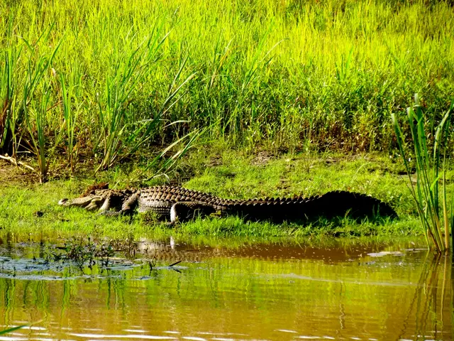 Early Human Species Discovered Coexisting with Oldest Known Homo Homo; Mystery Surrounds Long COVID...