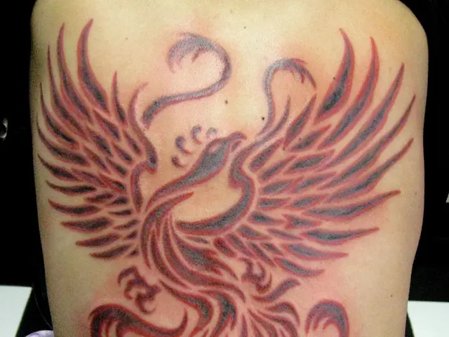 Hepatitis C Risks and Tattoo Ink Info: Comprehensive Guide