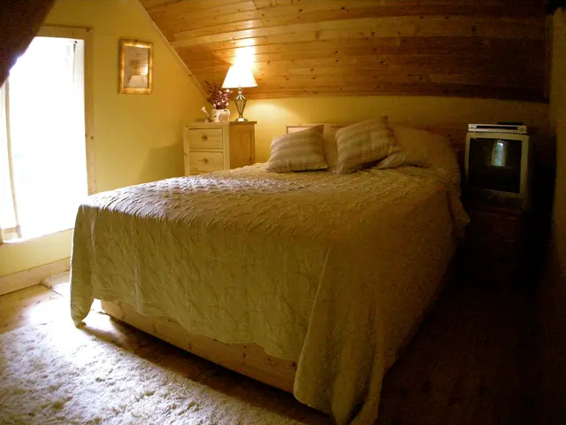 Mold infestation attributed to inadequate home insulation according to family claims.