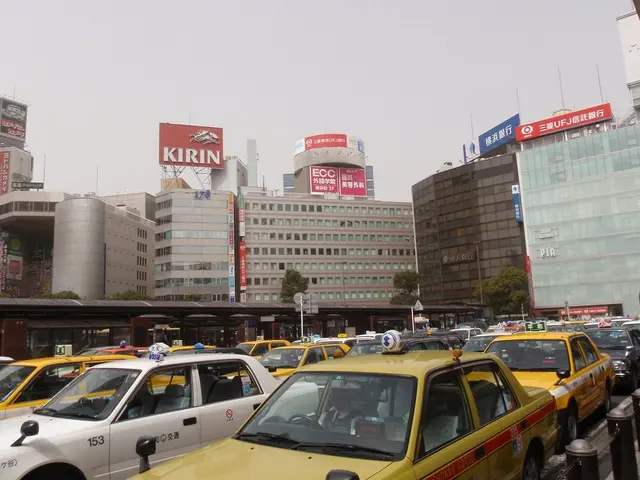 Newcomers to city administration starting their careers on the job