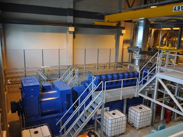 Customs office in Dresden formally inaugurated