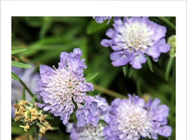 Delving into the art of Khadi using traditional spinning wheels!