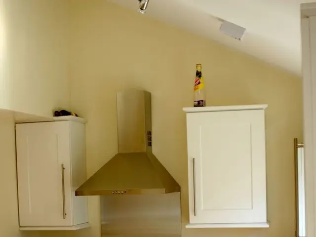 Fritsch secures a position as a social economics teacher at AWO