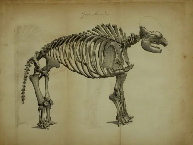 Available online for complimentary download: ICSE Class 9 Biology Intermediate Year Exam Sample...