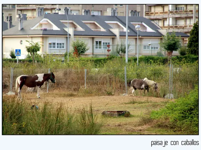 In this image there are buildings truncated towards the top of the image, there is a board, there...