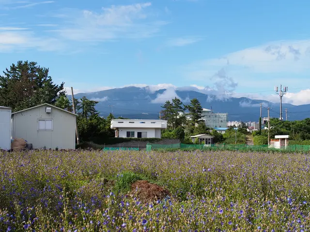 In the image we can see there are many buildings, trees, mountain, sky, electric pole, electric...