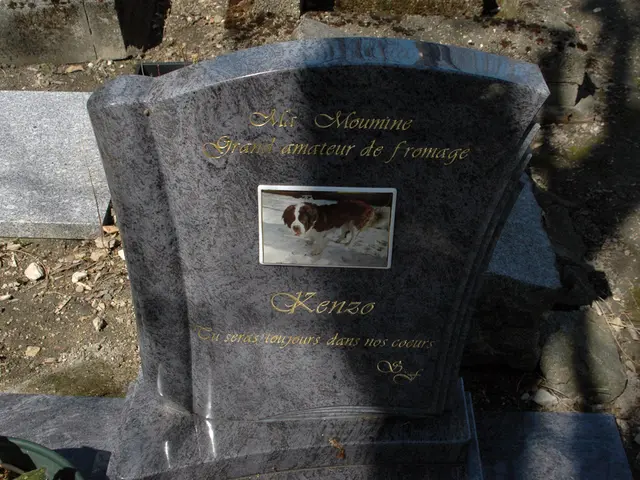 In this image I can see a graveyard with some text written on it.